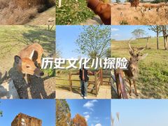 -良渚古城遗址公园