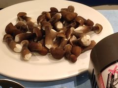 -千岛蚝高压锅生蚝·人参火锅(白云万达店)