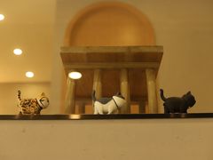 -飞行喵MR PILOT|猫舍·猫咖(静安大融城店)