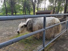 -长白岛森林公园