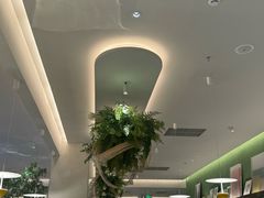 -Aqua Oasis 水天堂(太湖中心mall店)