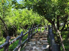 -北京西山国家森林公园