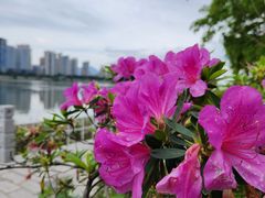-江滨壹号艺文空间复合餐厅(闽江大道店)