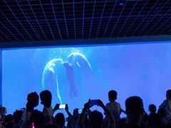 -多彩贵州城极地海洋世界