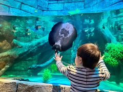 -沈阳海洋探索中心