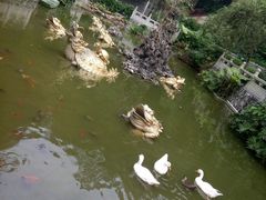 -国恩寺