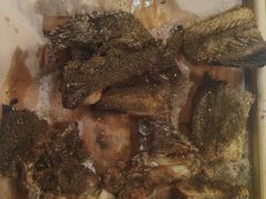 -活鱼馆(宜兴埠店)