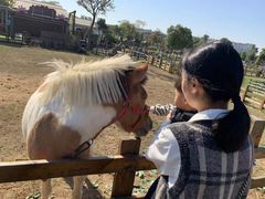 -田园东方蜜桃村的田野营地