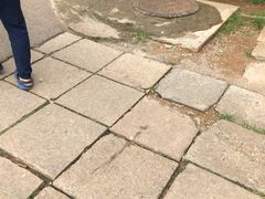 -昆明动物园