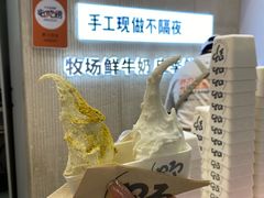 -野人先生现做冰淇淋(西安赛格店)