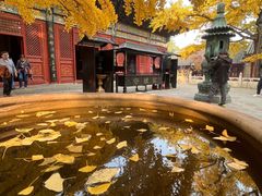 -红螺寺