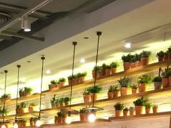 -翠華餐廳(浦东机场T1店)