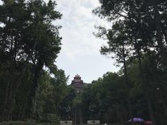 -东湖落雁景区
