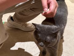 -扬州东关街文昌阁桔子水晶酒店