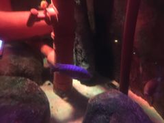 -沈阳海洋探索中心