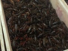 -青石桥市场北1-27号
