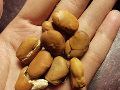 -崩豆张(古文化街店)