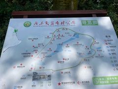 -广东茂名森林公园