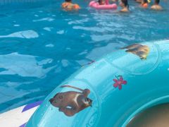 -重庆海昌加勒比海水世界