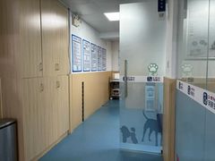 -宠颐生猫科·内科皮肤科(西平世纪城店)