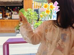 -京北渔家傲
