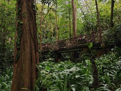 -广州市白云山风景名胜区