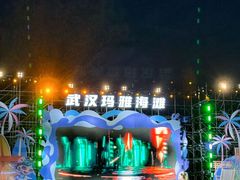 -武汉玛雅海滩水公园