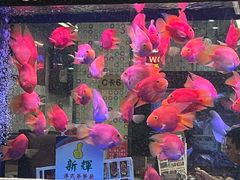 -新辉港式茶餐厅(北栅店)