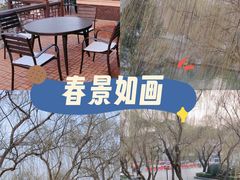 -鹊华居·地道鲁菜·海鲜·融合味(大明湖店)