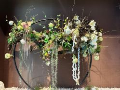 -太湖雪蚕桑文化园