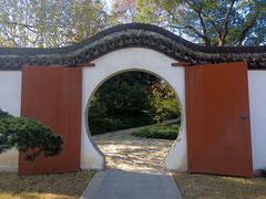 -上海醉白池公园