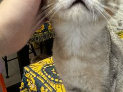 -平行世界·猫咖(首经贸店)