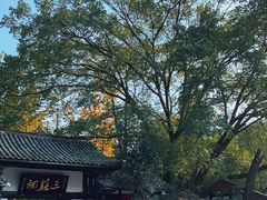 -三苏祠