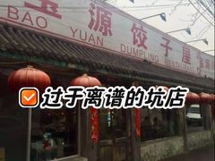 -宝源饺子(麦子店街店)