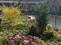 -河北村民俗体验园