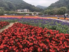 -广州市石门国家森林公园