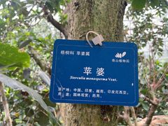 -南山植物园