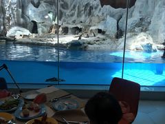 -帝企鹅自助餐厅•儿童岛•真企鹅(长隆企鹅酒店)