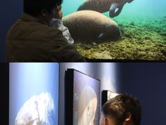 -福州海峡文化艺术中心