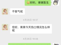 -安安宠医安欣宠物医院
