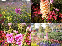 -文华公园(禅城区)