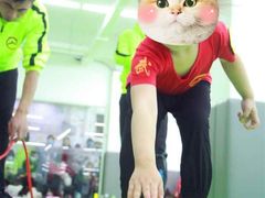 -武术世家少儿培训中心(首都体育学院店)