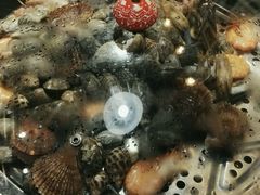 海鲜套餐A-大副蒸海鲜(丰富路店)