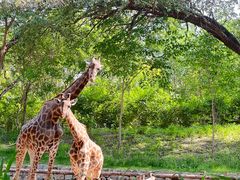 -北京野生动物园