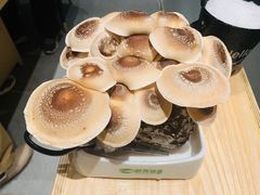 -鲜货俚鲜火锅(青果路店)