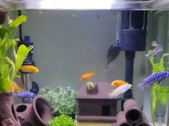 -三旗百汇商品城