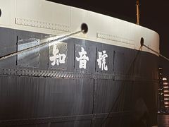 -武汉知音号
