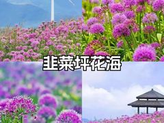 -乌蒙大草原