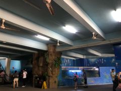 -泉州海丝野生动物世界