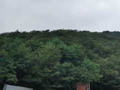 -金龙寺国家森林公园